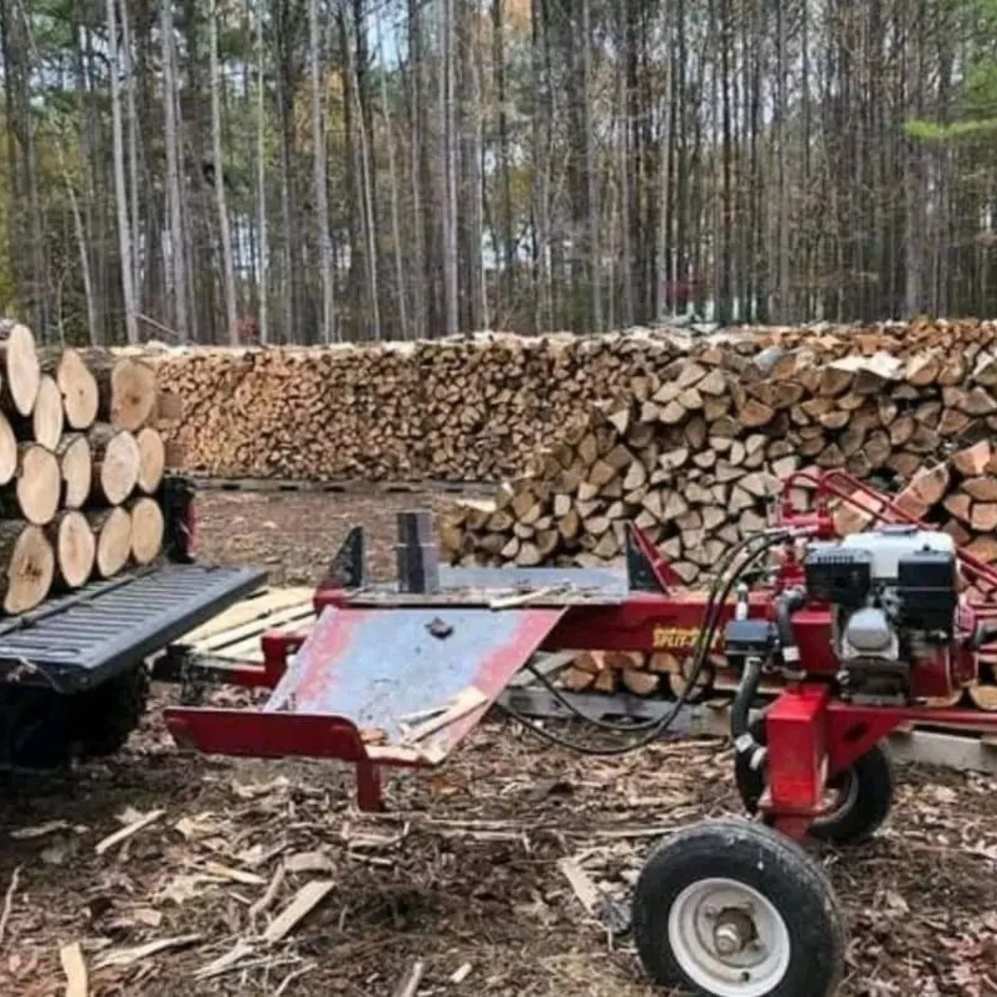 Kiln-dried hardwood firewood split logs ready for delivery